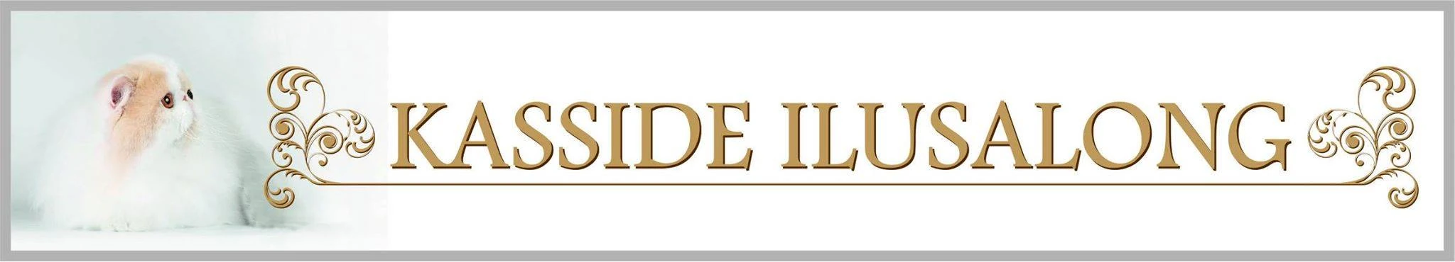 Kasside Ilusalong
