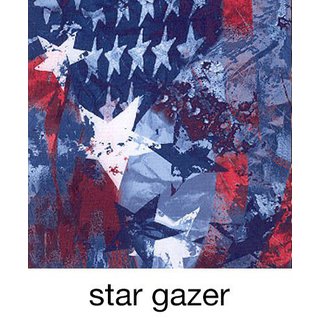 USA Show Shelter Euro with vinyl in back Limited Edition. - Image 7